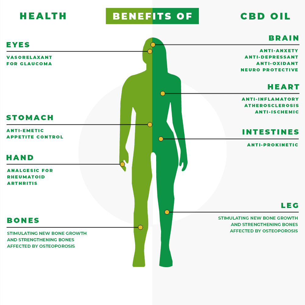 Health Benefits Of CBD Oil Infographic Health Benefits Of CBD Oil